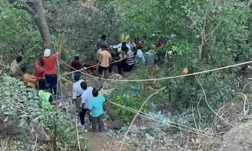 లోయలోపడిన బస్సు : 13 మంది మృతి