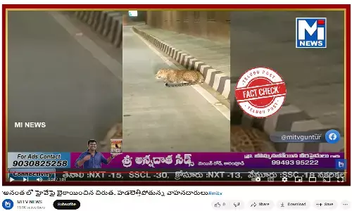 Fact Check: Viral video of a leopard sitting beside the highway makes a Misleading claim