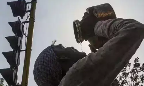 india weather in may