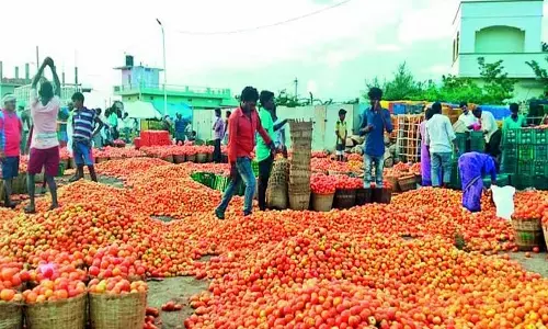 కేజీ టమాటా రెండు రూపాయలు