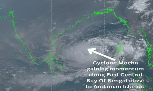 cyclone mocha updates