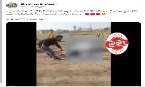 Fact Check: Graphical video of young men killing a cow on a BJP flag is not from Karnataka
