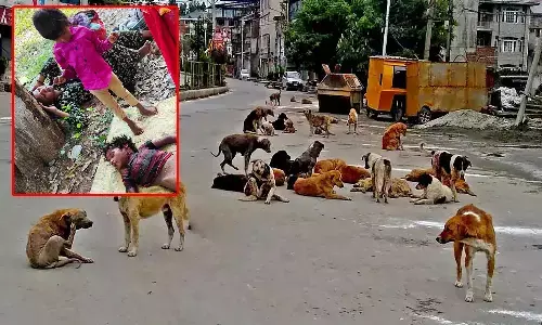 తెలంగాణలో దారుణం.. వీధికుక్కల దాడిలో మరో బాలుడి మృతి