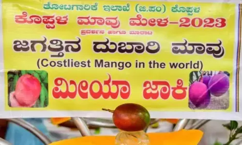 ఒక్క మామిడి.. 40వేల రూపాయలా