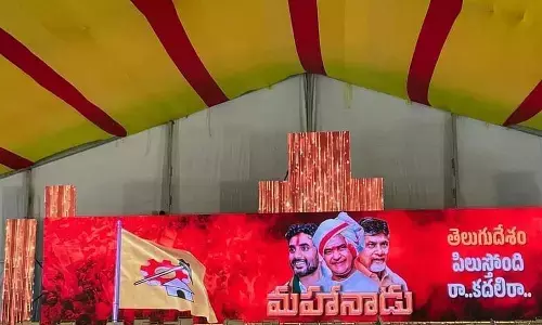 పవన్‌కు మహానాడు ముప్పు