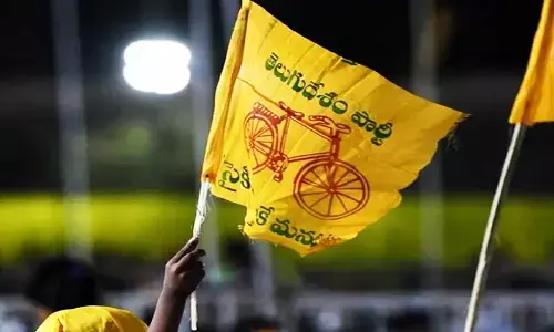 సత్య సాయి జిల్లాలో తమ్ముళ్ల రచ్చ