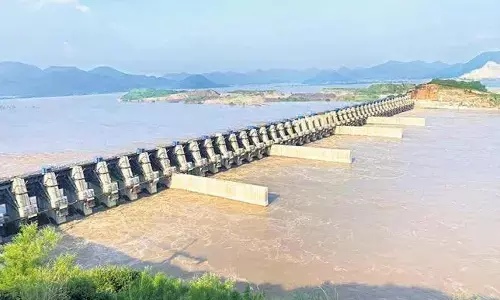 foreign experts, visit,  polavaram project, andhrra pradesh