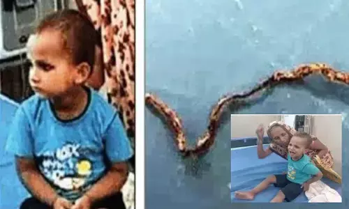 పాముని కొరికి చంపిన బాలుడు