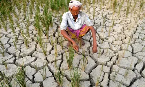 el nino effect on rabi crops