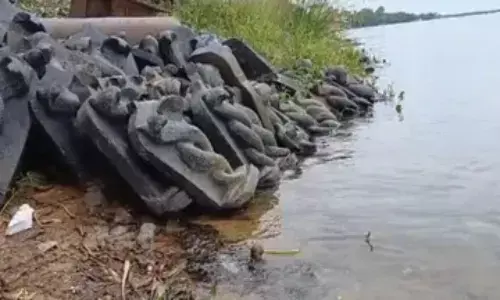 కృష్ణా నదిలో భారీగా బయటపడ్డ నాగ ప్రతిమలు
