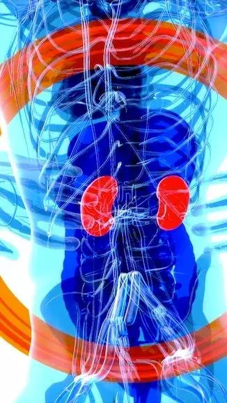 కిడ్నీలు ఆరోగ్యంగా ఉండాలంటే చేయాల్సినవి