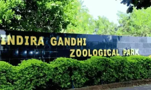 ఇందిరా గాంధీ జూలో వరుస విషాదాలు