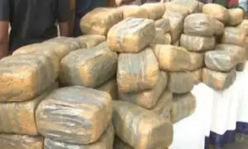 ఉల్లిపాయల బస్తాల కింద 405 కిలోల గంజాయి