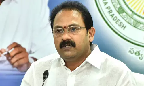 YCP Leader Alla Nani , pawan kalyan, APnews