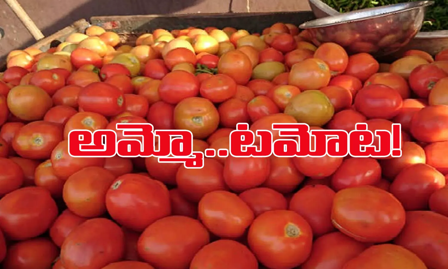 tamota price in india