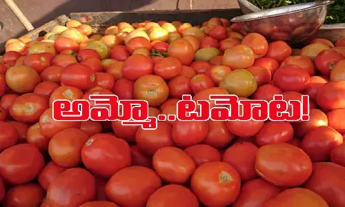 tamota price in india