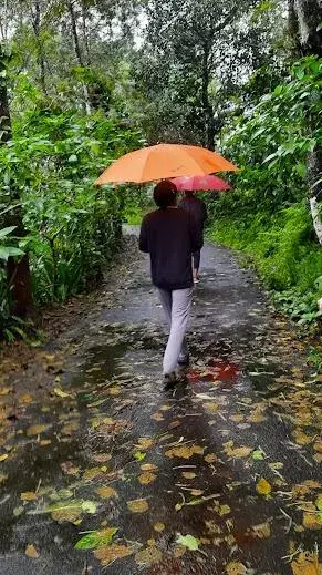 వర్షాకాలంలో ఎలాంటి ఆహార పదార్థాలు తినకూడదు