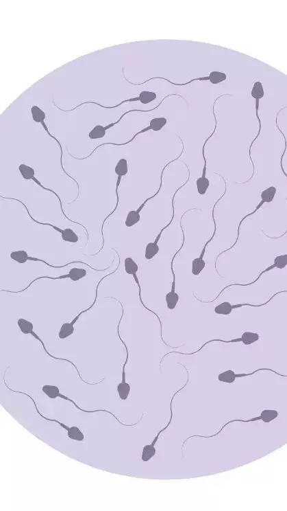 పురుషుల స్పెర్మ్ కౌంట్ పెంచే ఆహారాలు