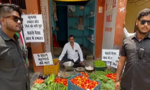 bouncers for tomotoes