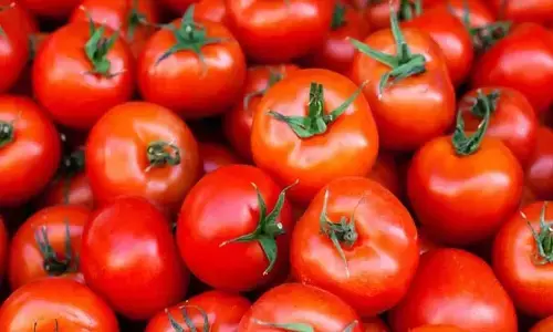 2000 kg tomato robbed in bengaluru