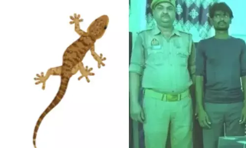 స్టేషన్ లో కనిపించిన బల్లి.. మింగేసిన ఖైదీ