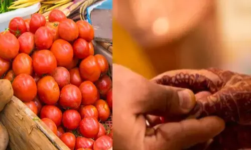 టమాటాతో జర భద్రం.. కాపురాలు కూలిపోగలవు జాగ్రత్త !