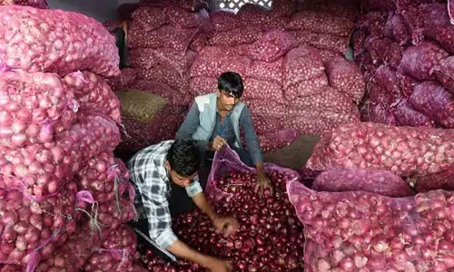 టమాటా సెగకు ఘాటెక్కుతున్న ఉల్లి