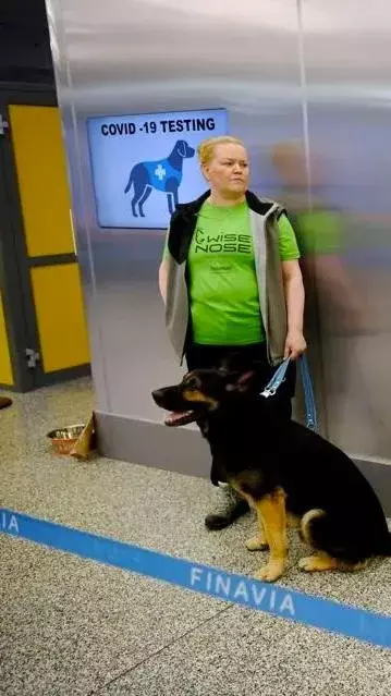 టెస్టుల కంటే కుక్కలే కోవిడ్-19 ని ఖచ్చితంగా కనిపెడుతున్నాయట