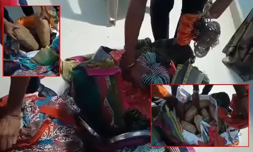 ganjai smuggling, odisha to maharastra ganjai smuggling