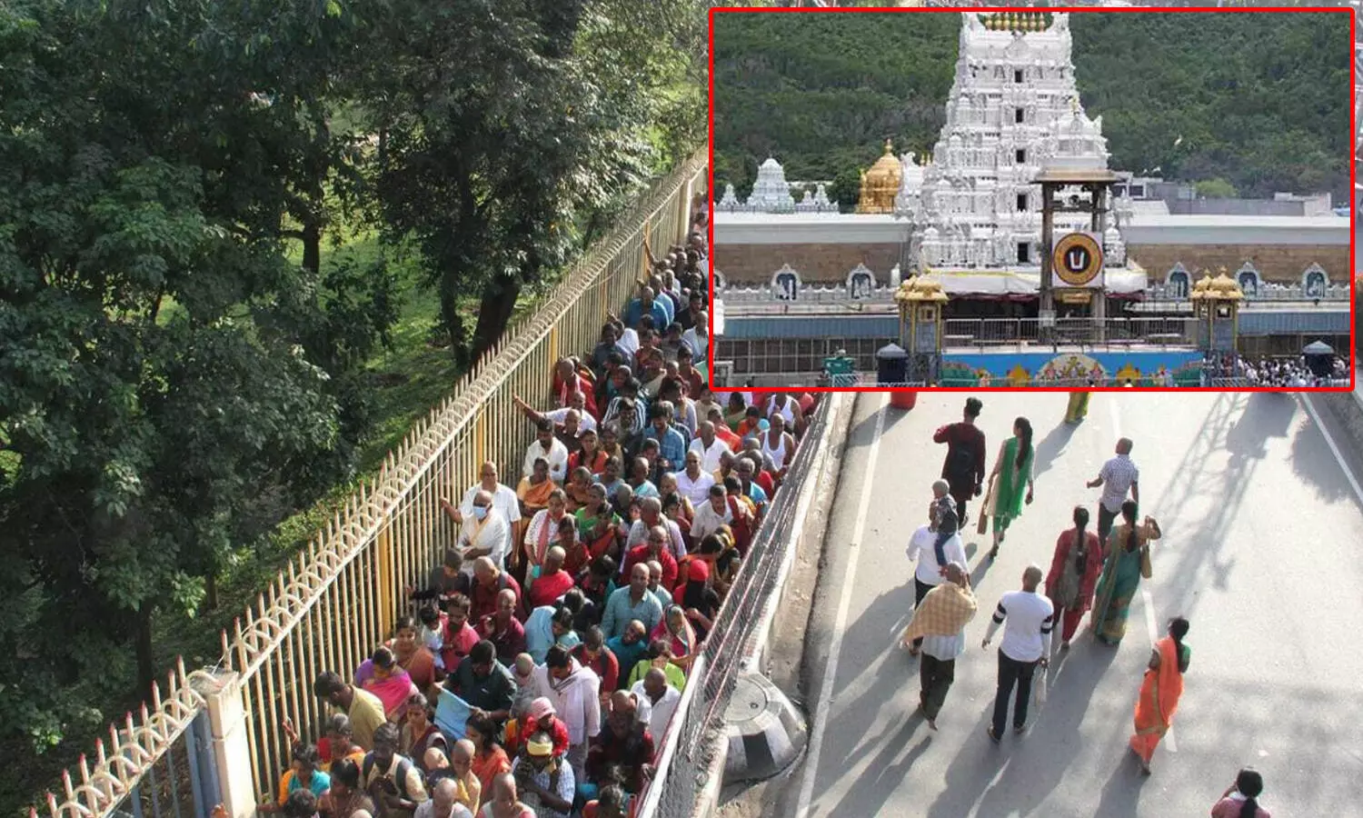 tirumala rush today