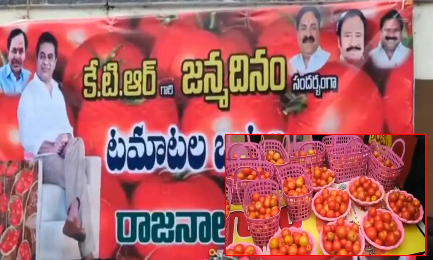 కేటీఆర్ బర్త్ డే : ఫ్రీ గా 2 కిలోల టమాటాలు