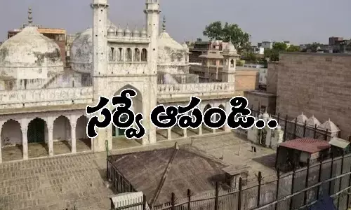 gyanvapi masjid survey