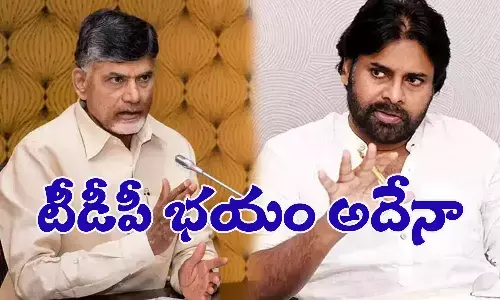 పవన్‌ కల్యాణ్‌ని పక్కన పెట్టే ప్లాన్‌లో టీడీపీ!