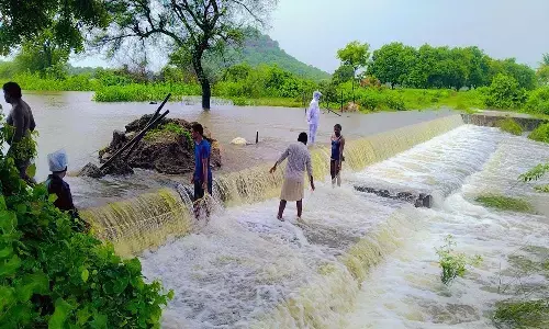 mahabubnagar kondedu vaagu