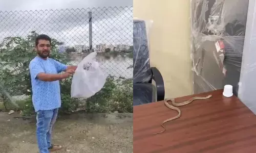 ఫిర్యాదు చేసినా పట్టించుకోవడంలేదని.. ఆఫీసులో పాము వదిలేసిన యువకుడు