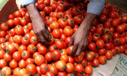 45 రోజుల్లో 4 కోట్లు సంపాదించిన రైతు కథ తెలుసా?