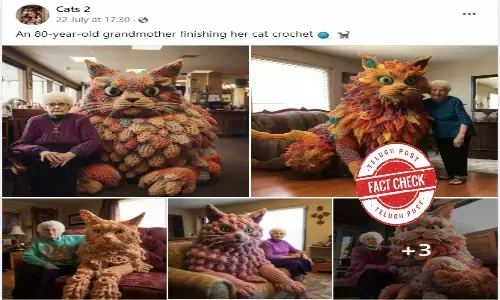 ఫ్యాక్ట్ చెక్: 80 ఏళ్ల మహిళ భారీ పిల్లులతో ఉన్న వైరల్ చిత్రాలు AI ద్వారా రూపొందించారు