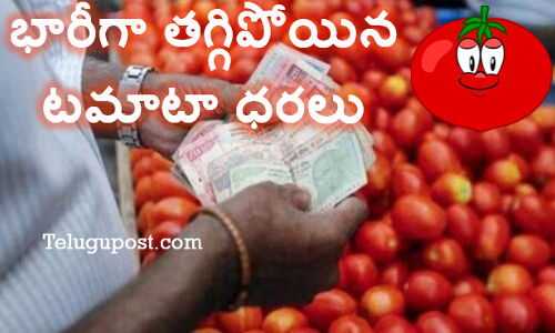 భారీగా తగ్గిపోయిన టమాటా ధరలు