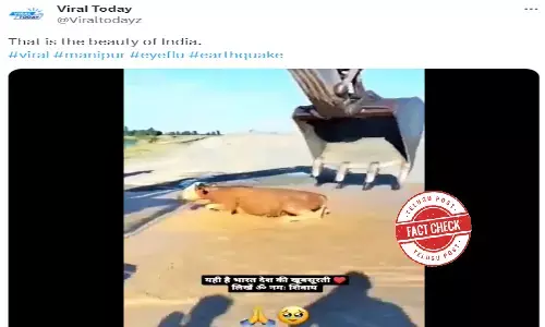 Fact Check: Video showing a cow rescued from a canal is not from India but Turkey