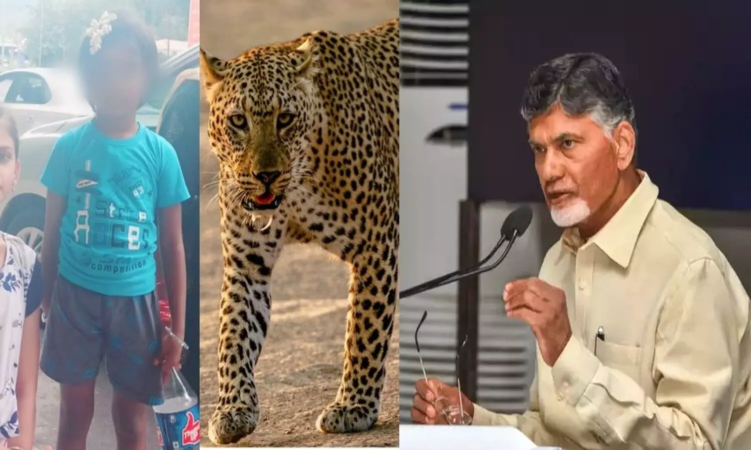 తిరుమలలో చిన్నారి మృతిపై చంద్రబాబు స్పందన
