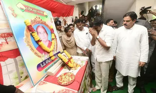 వాలంటీర్లను దండుపాళ్యం బ్యాచ్ తో పోల్చిన జనసేనాని