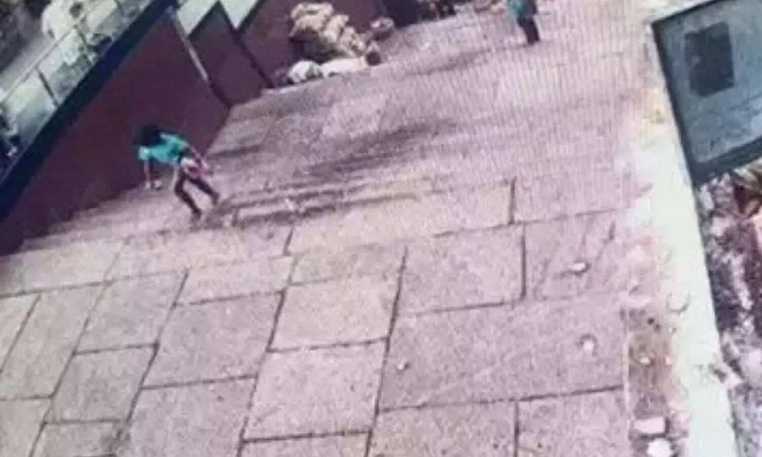 లక్షితను చంపిన చిరుత అక్కడ కనిపించింది