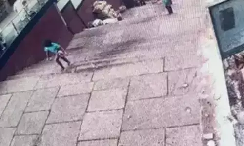 లక్షితను చంపిన చిరుత అక్కడ కనిపించింది