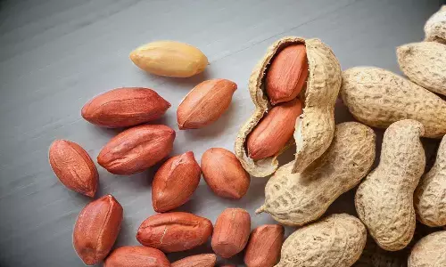 నయనశ్రీ ప్రాణం తీసిన వేరుశనగ విత్తనం