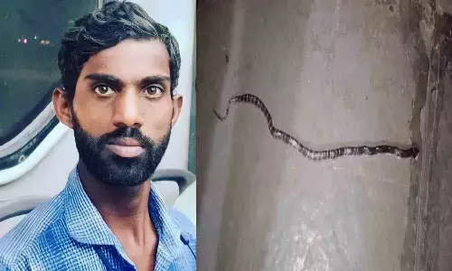 పాము కాటుతో యువకుడి మృతి