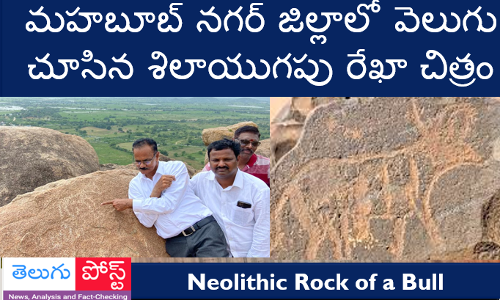 మహబూబ్ నగర్ జిల్లాలో వెలుగు చూసిన శిలాయుగపు రేఖా చిత్రం.!
