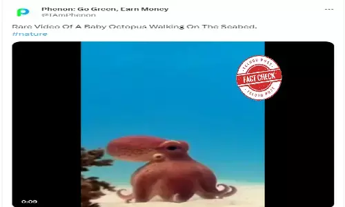 Fact Check: Video of an octopus-like creature walking, not crawling, on seabed shows robotic spy octopus