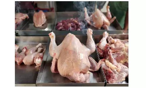 చికెన్ ధరలకు రెక్కలు