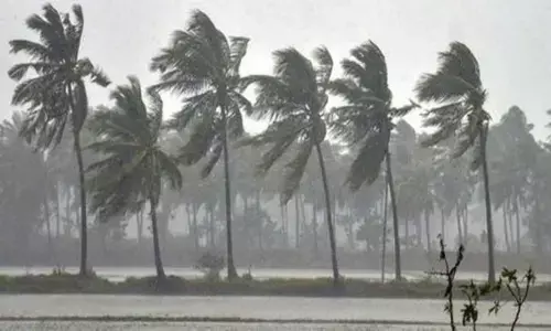 heavy rains,  low pressure, ap disaster management , andhra pradesh