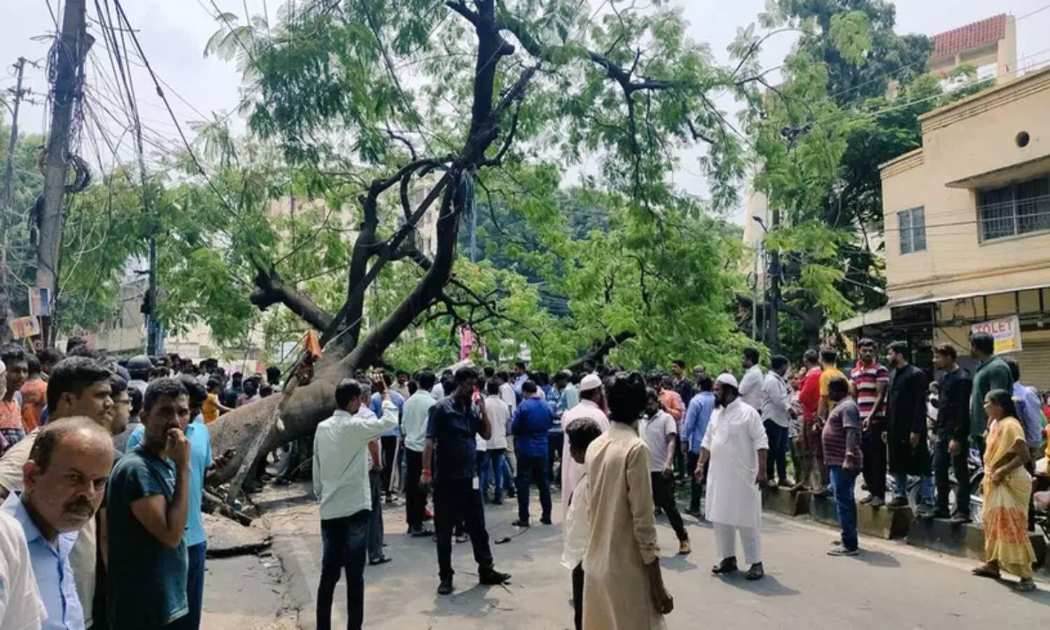 Hyderabad, AutoDriver, hyderaguda, old Mla Colony